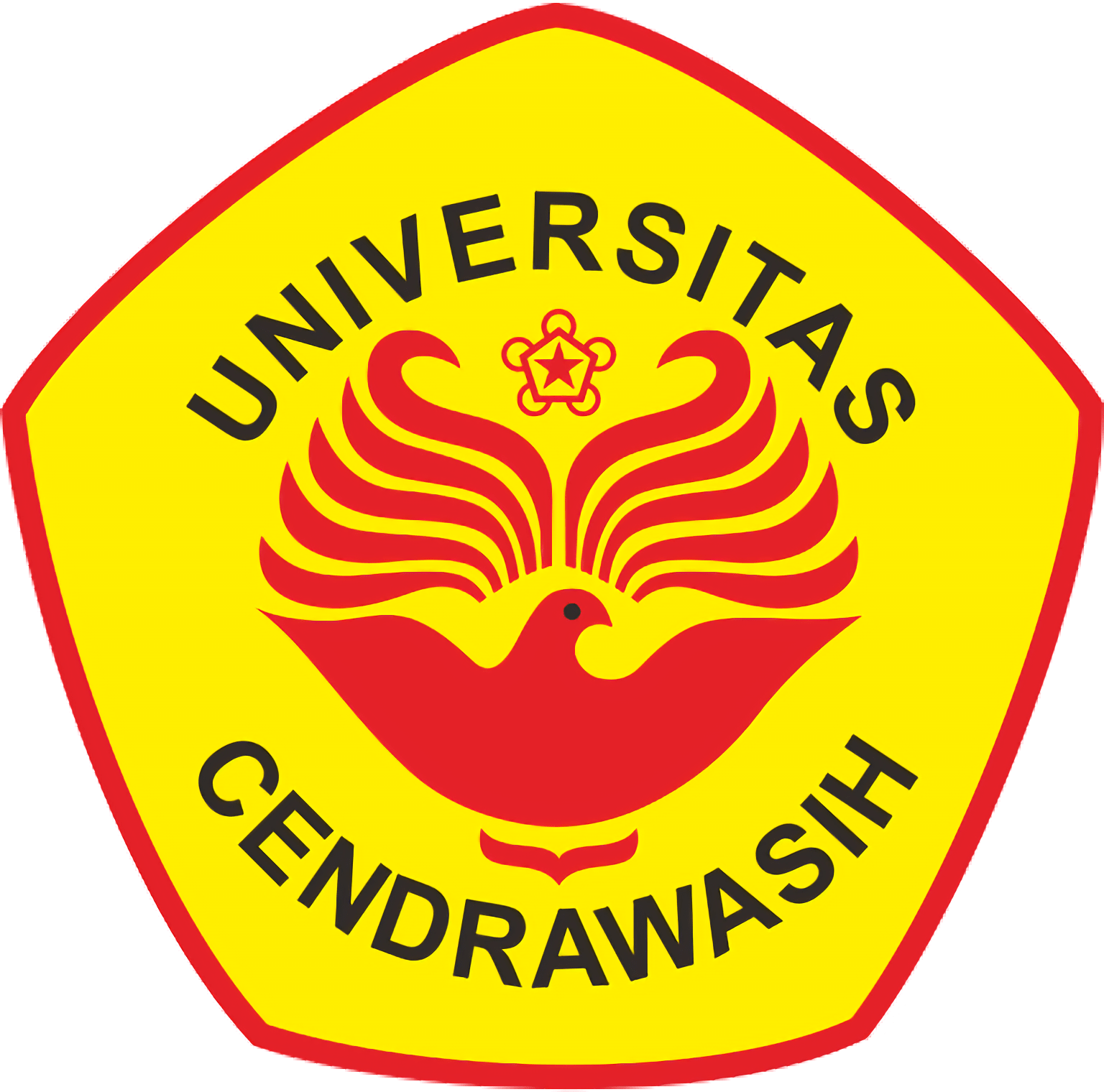  Universitas  Cendrawasih Uncen 
